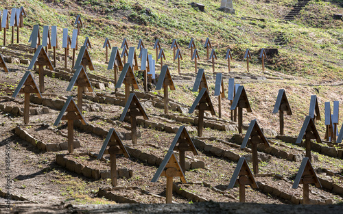 The old military cemetery form first world war in  Luzna Pustki- battle of Gorlice - Poland photo