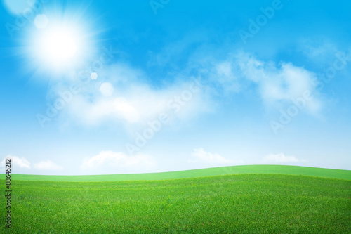 Green grass field and blue sky © karandaev