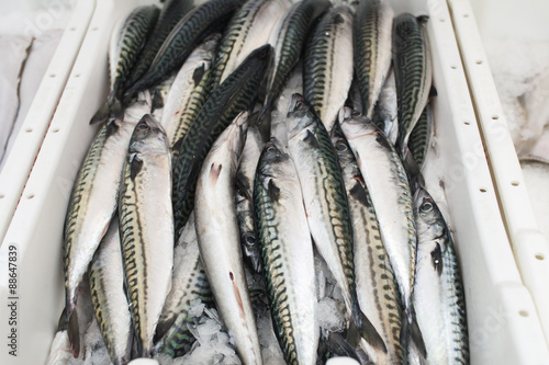 makrelen op marktkraam
