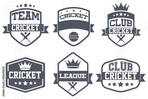 Set of Vintage Cricket Club Badge and Label