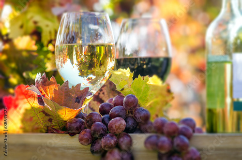 Palatine wine tasting with red and white wine :)
