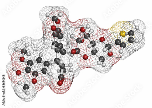 Teniposide cancer drug molecule (topoisomerase II inhibitor).  photo