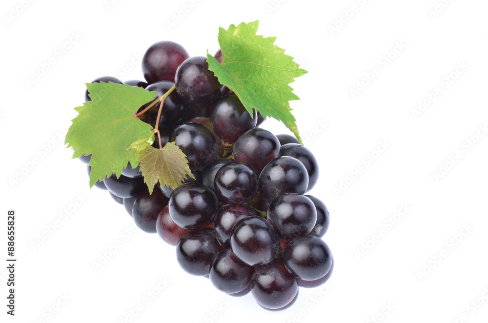Fototapeta premium Black grape with leaf isolated on white background