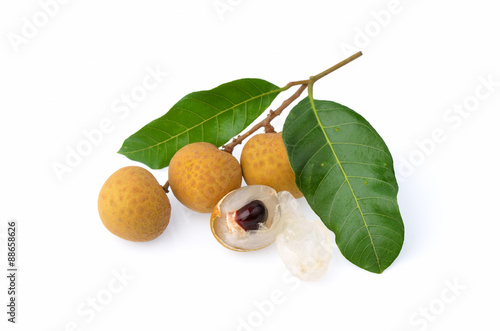 Longan fruit isolated on white background