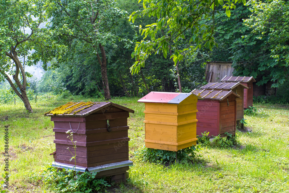 Beekeeper is working with bees and beehives on the apiary. Beekeeper is working with bees and beehives on the apiary.