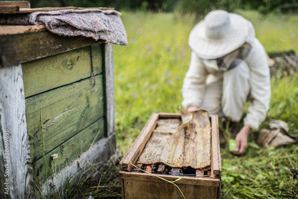 Beekeeper is working with bees and beehives on the apiary. Beekeeper is working with bees and beehives on the apiary.