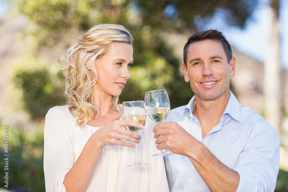 Portrait of smiling standing couple drinking wine and toasting Portrait of smiling standing couple drinking wine and toasting
