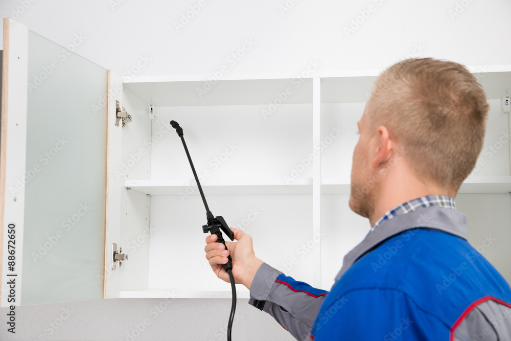 Worker Spraying Insecticide On Shelf Worker Spraying Insecticide On Shelf