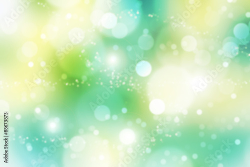 Natural forest bokeh