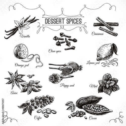 Vector hand drawn set with Dessert Spices. 