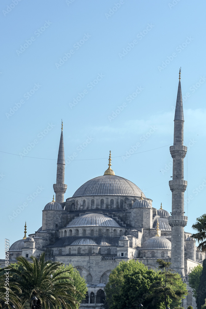 Fototapeta premium Blue Mosque, Istanbul