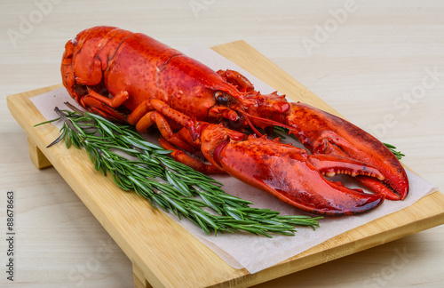 Lobster