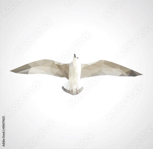 polygonal seagull in flight on a white background