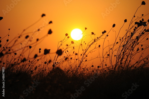 ters ışık photo