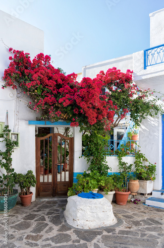Fototapeta Naklejka Na Ścianę i Meble -  Street in Milos island, Cyclades, Greece