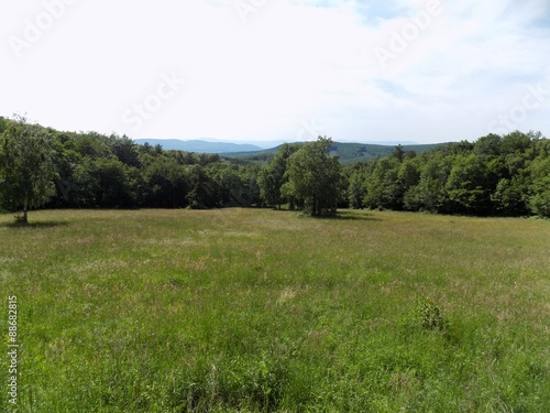 Meadow and deciduous forest