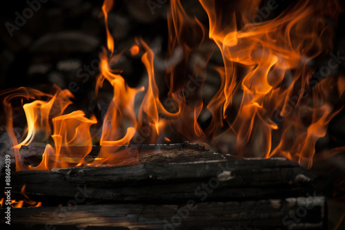 Burning wood in fire