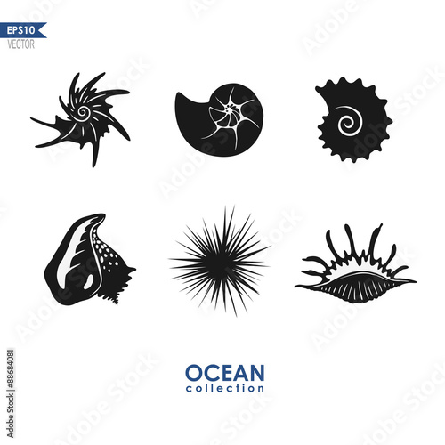 ocean creatures: sea snails, shells, mollusks