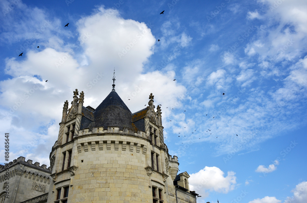 Pigeons flying around a Castle Tower