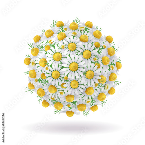 Fototapeta Naklejka Na Ścianę i Meble -  Floral ball