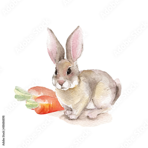 Rabbit and carrots. Watercolor illustration