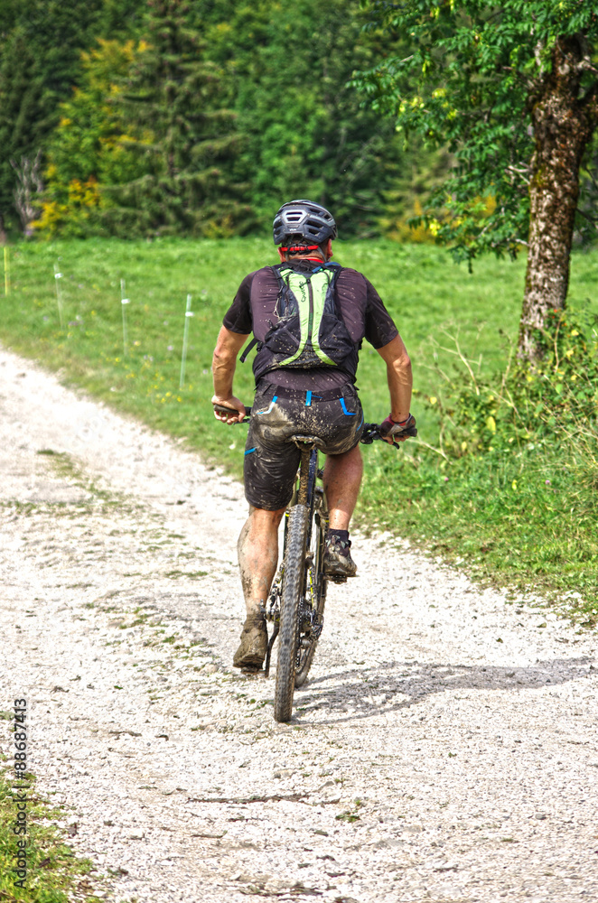 Naklejka premium vtt - hdr