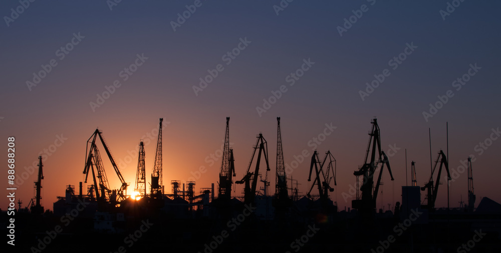 Cranes silhouette Cranes silhouette