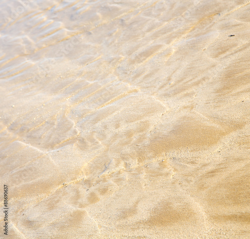 dune morocco in africa brown coastline wet sand beach near atlan