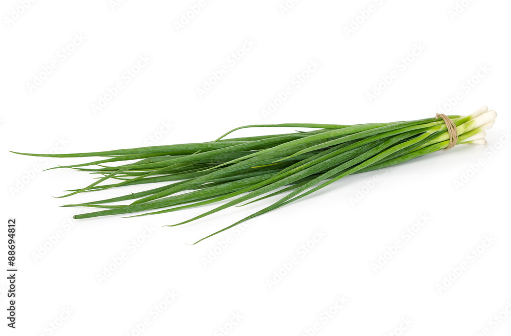 Bunch of green onions isolated on white background Bunch of green onions isolated on white background