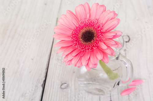 Fotografie, Tablou Flower pink gerbera in vase