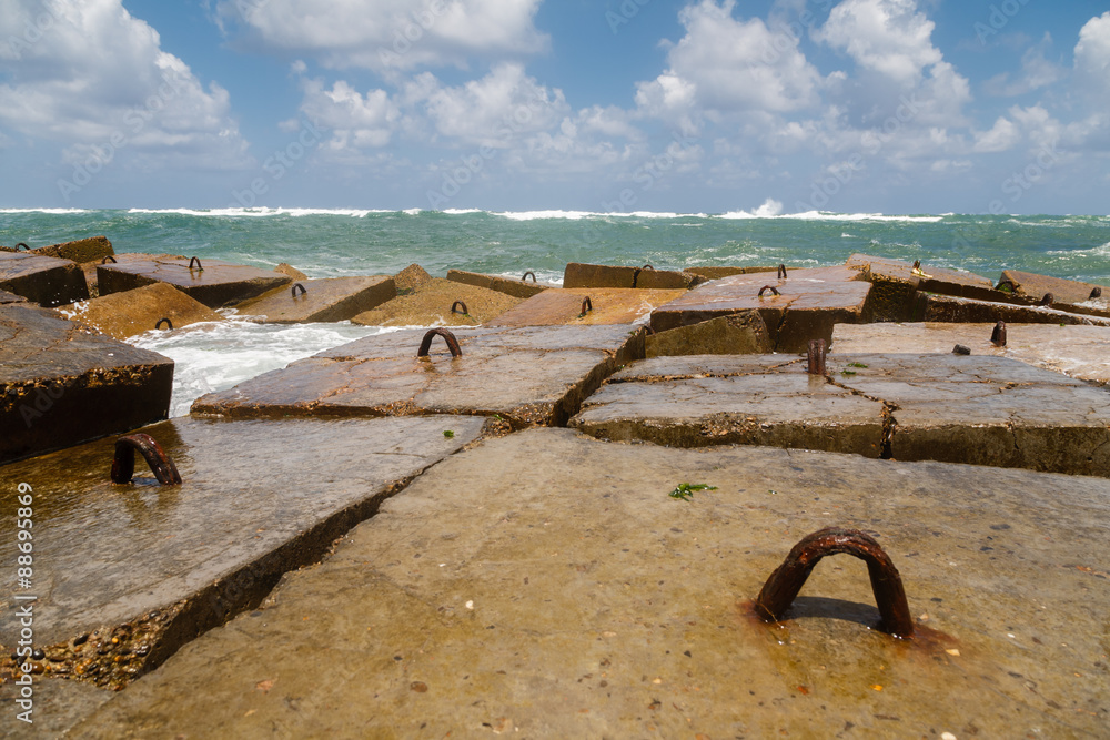 Fototapeta premium Alexandria Mediterranean Sea shore