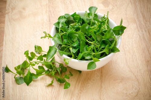 Obraz na płótnie Fresh watercress in the bowl on wooden background,green vegetable