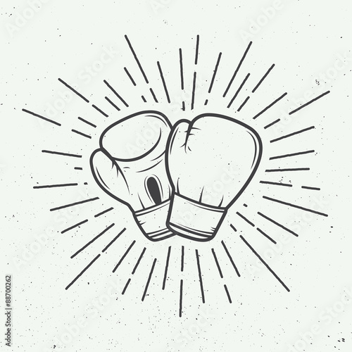 Boxing gloves in vintage style.