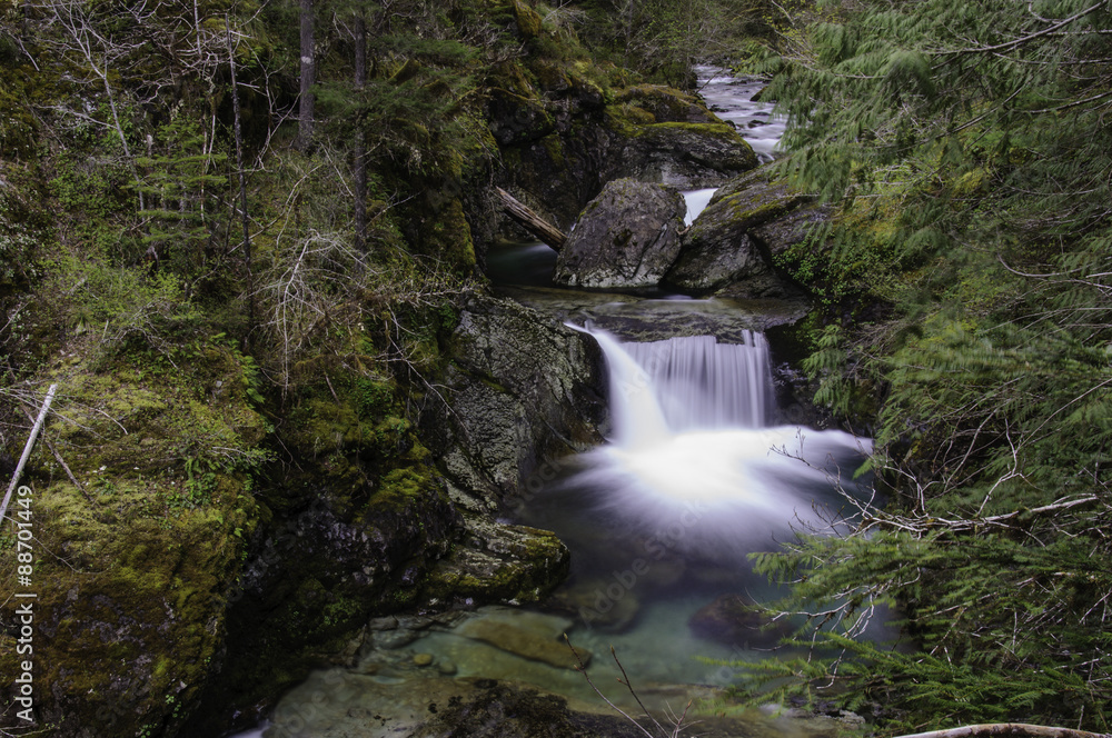 Fototapeta premium Cedar Creek Waterfall in the Opal Creek Wilderness area