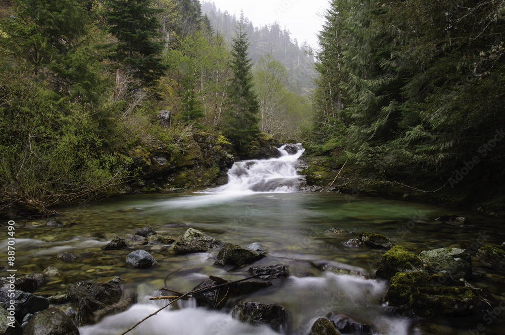 Fototapeta premium Cedar Creek Waterfall in the Opal Creek Wilderness area