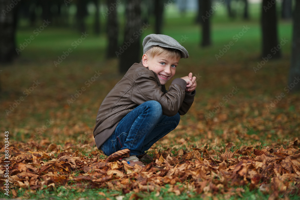 little funny boy in autumn leaves portrait little funny boy in autumn leaves portrait