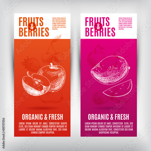 Vector banners set  with hand drawn fruits .Fruits illustration.