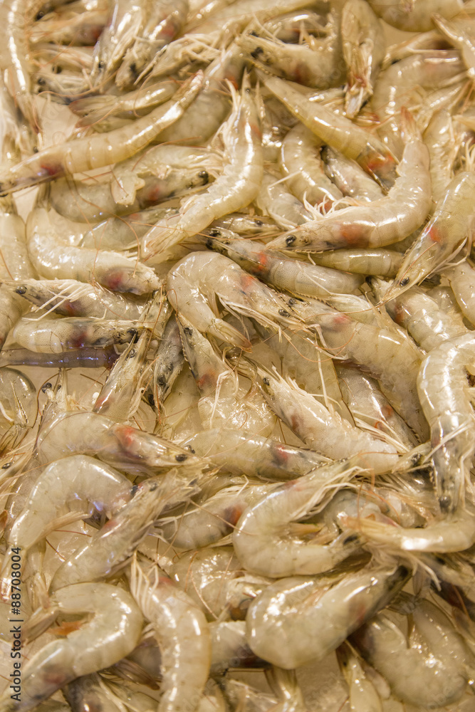 Prawns Prawns
