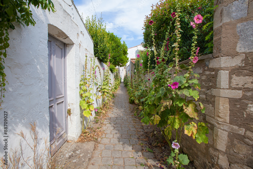 Naklejka premium Ruelle de Saint Martin de Ré, Ile de Ré
