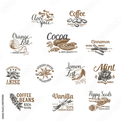 Vector set of Dessert Spices logos, labels, badges and design el