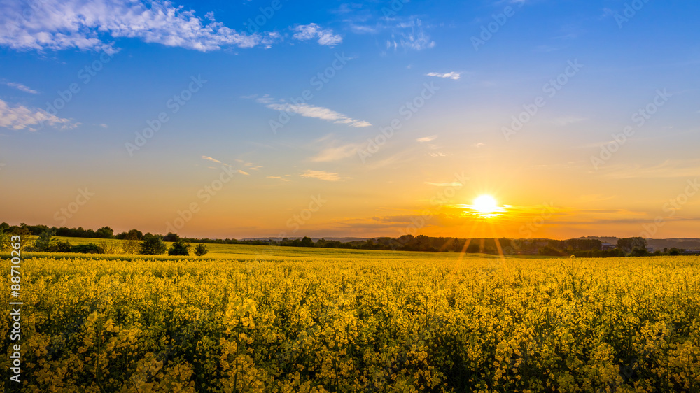 Country landscape