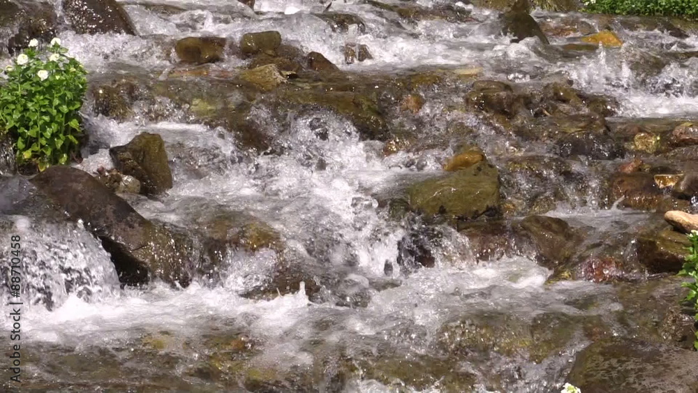 Scenic Colorado Mountain Stream Scenic Colorado Mountain Stream