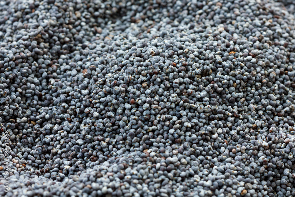 Macro of dried poppy seeds as a background. Macro of dried poppy seeds as a background.
