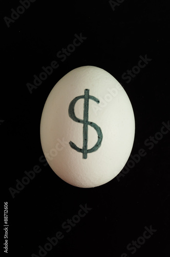 Яйцо с рукописным символом доллара на черном фоне photo