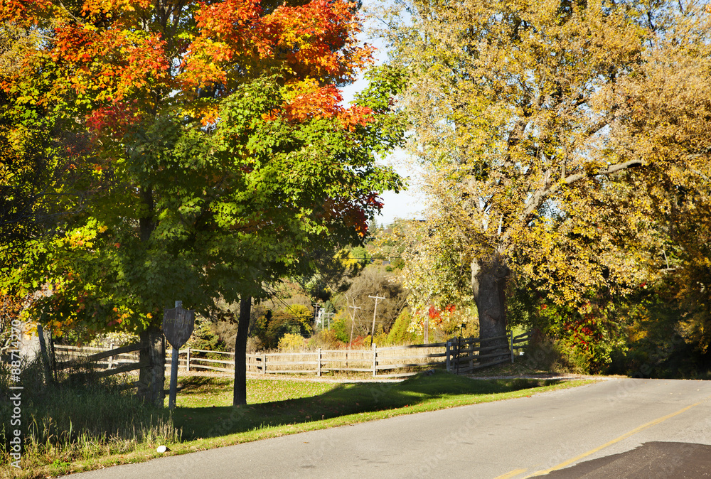 Beautiful autumn landscape