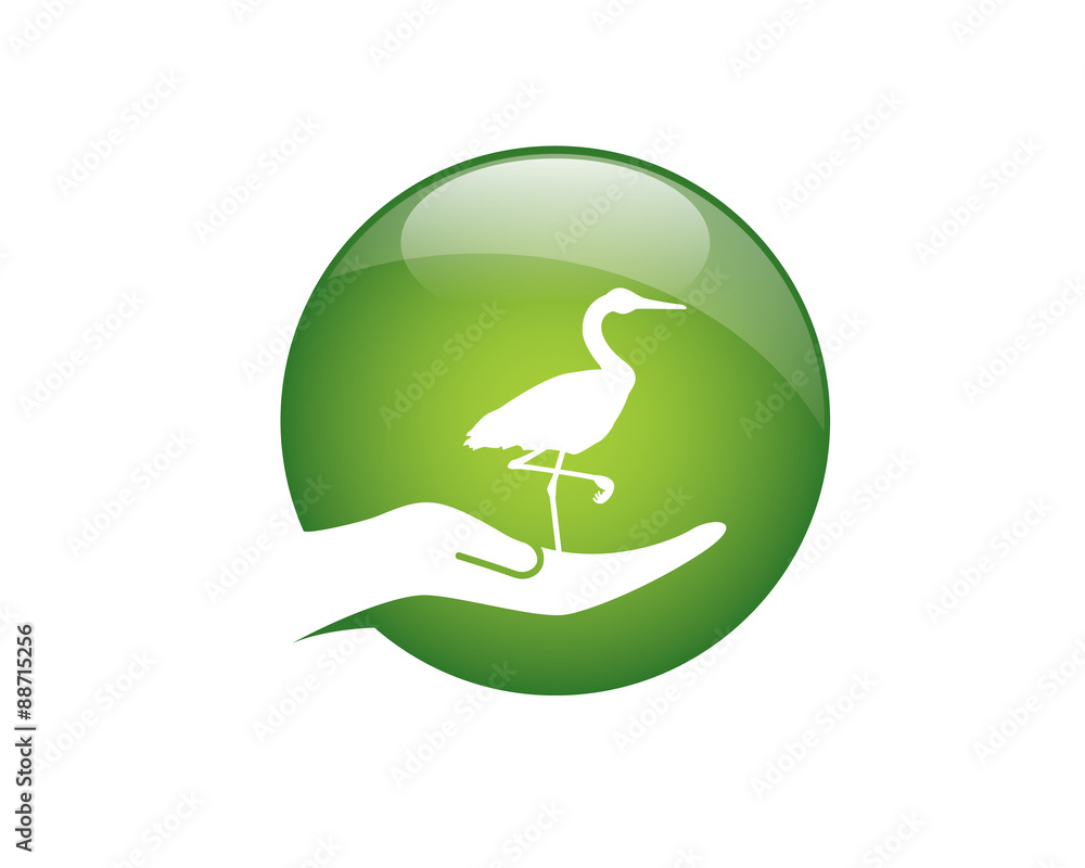 Obraz premium heron standing on top of palm of hand 