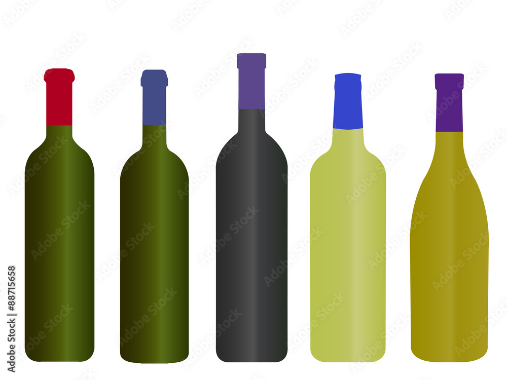 Wines of the World Empty Bottles Wines of the World Empty Bottles