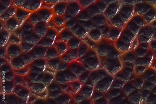 Obraz na plátně Blood vessels abstract background.