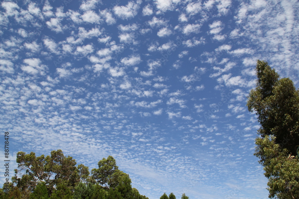 Obraz premium オーストラリア パース