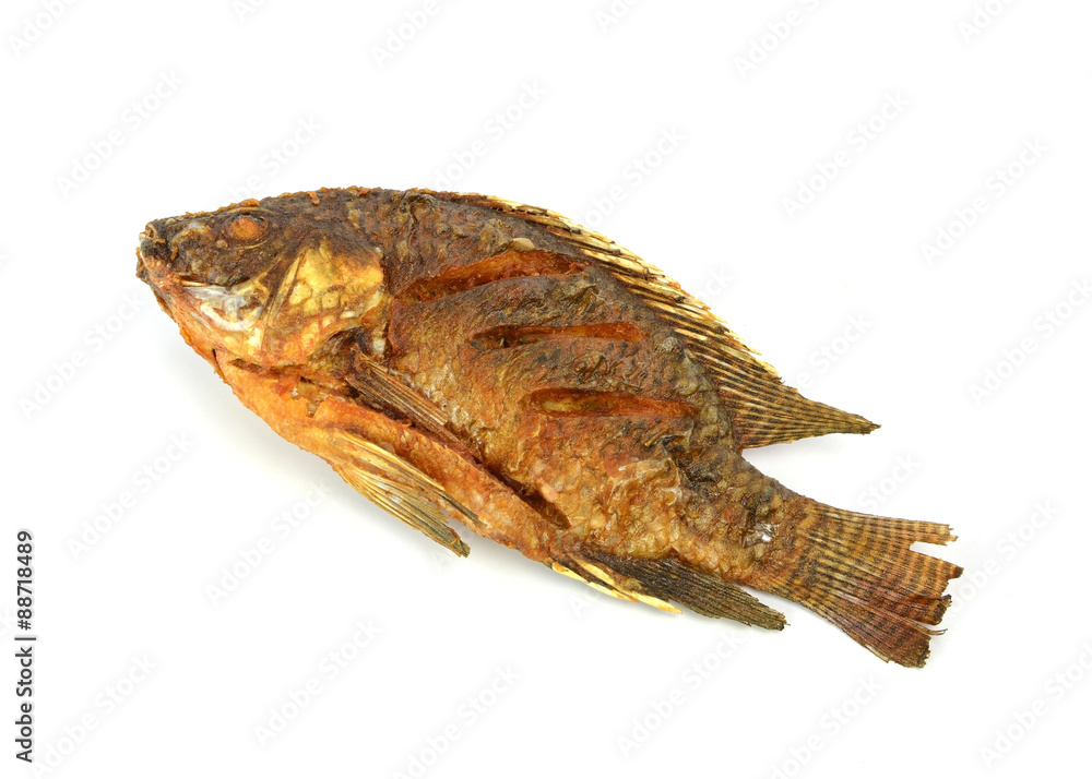 Fried Tilapia fish fried isolated on white background Fried Tilapia fish fried isolated on white background